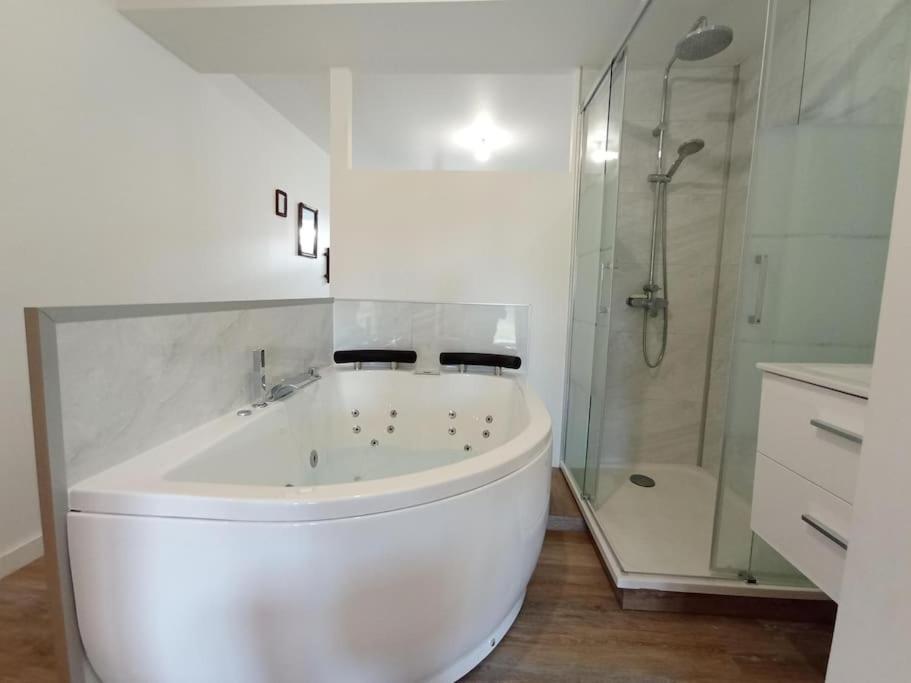 Sejour Sauna Et Jacuzzi Cocon La Roche-sur-Yon Dış mekan fotoğraf